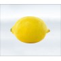 Limon Organik (kg)