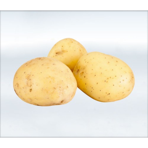 Organik Patates (kg)