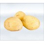 Organik Patates (kg)