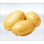 Patates