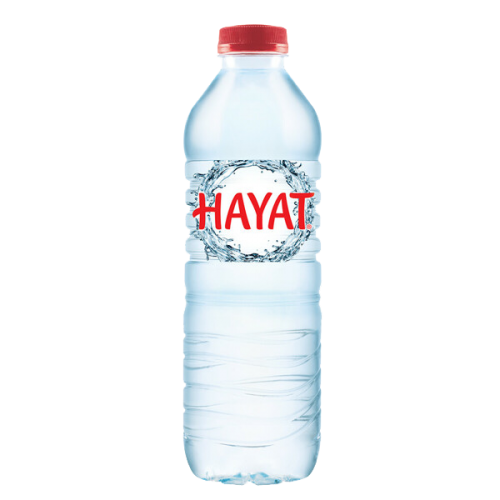 Hayat Su 0.5 lt